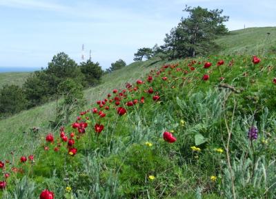 Прикрепленное изображение: 313.jpg
